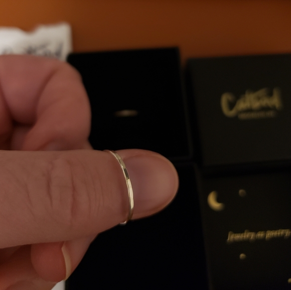 Catbird Classic Hammered Ring, Silver - Picture 3 of 4